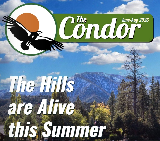 The Condor Quarterly Newsletter